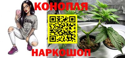 apvp Сланцы
