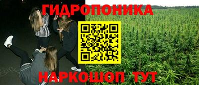 apvp Сланцы