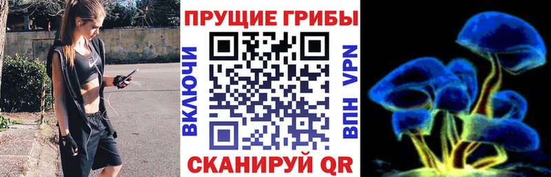 Псилоцибиновые грибы Psilocybine cubensis  Уфа 