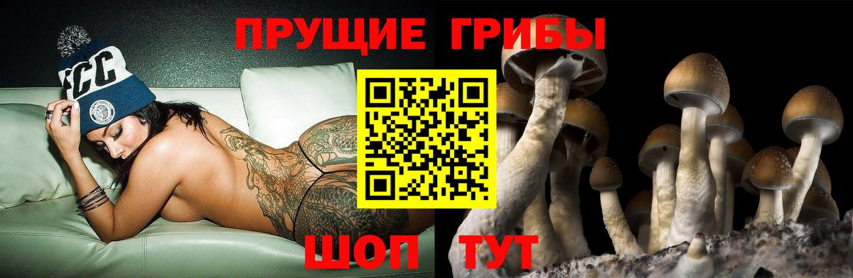 Псилоцибиновые грибы прущие грибы Уфа
